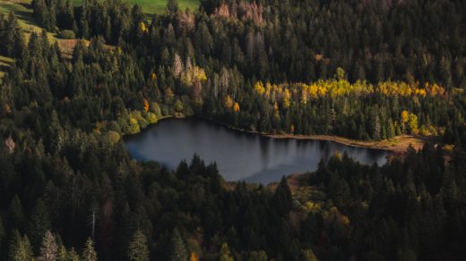 Vue sur une forêt et un lac au Jura